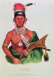 Ap-Pa-Noo-Se, Saukie Chief door American School
